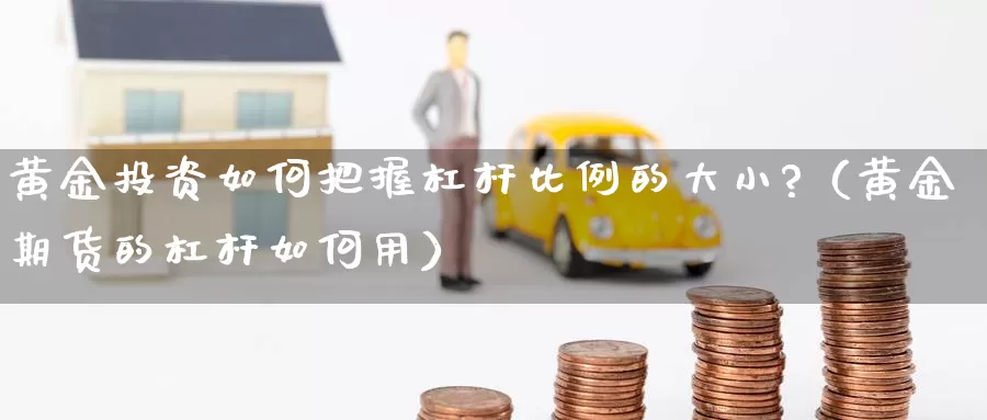 黄金投资如何把握杠杆比例的大小?（黄金期货的杠杆如何用）_https://www.xmlkk.com_黄金期货开户_第1张